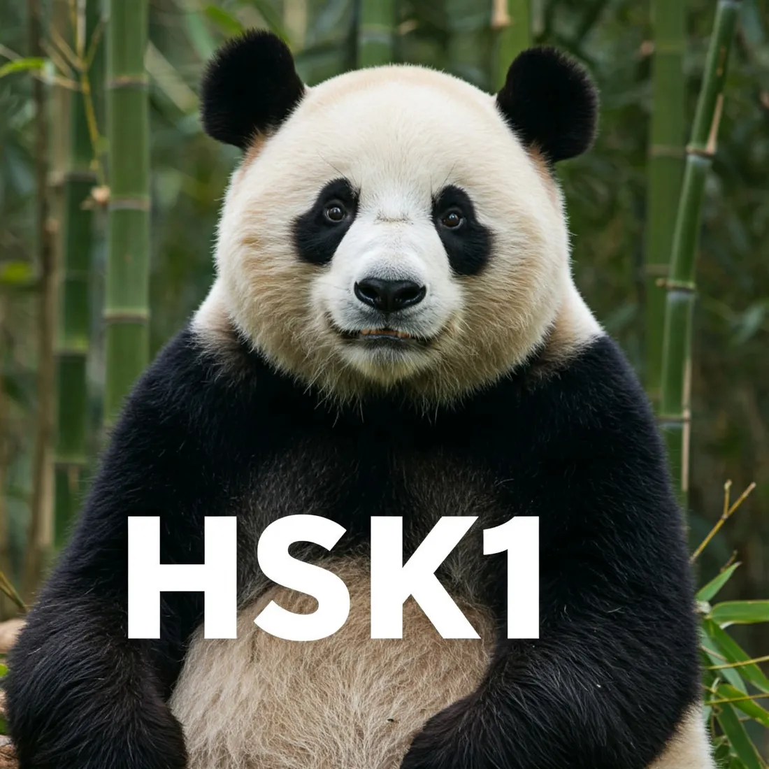 kurs kineskog A1 / HSK1